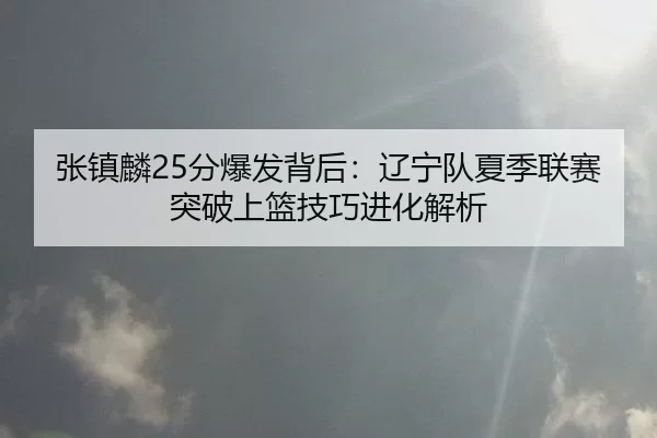 zhang-zhen-lin-fen-bao-fa-bei-hou-liao-ning-dui-xia-ji-lian-sai-tu-po-shang-lan-ji-qiao-jin-hua-jie-xi-2-685.jpg